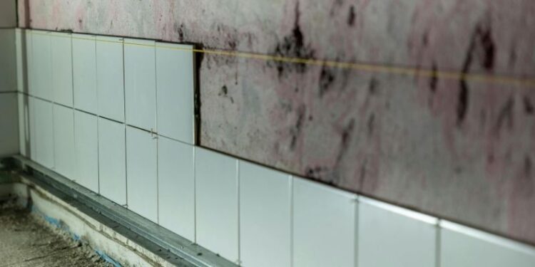 Vlaga u kutovima sobe: Je li kriva izolacija ili provjetravanje?